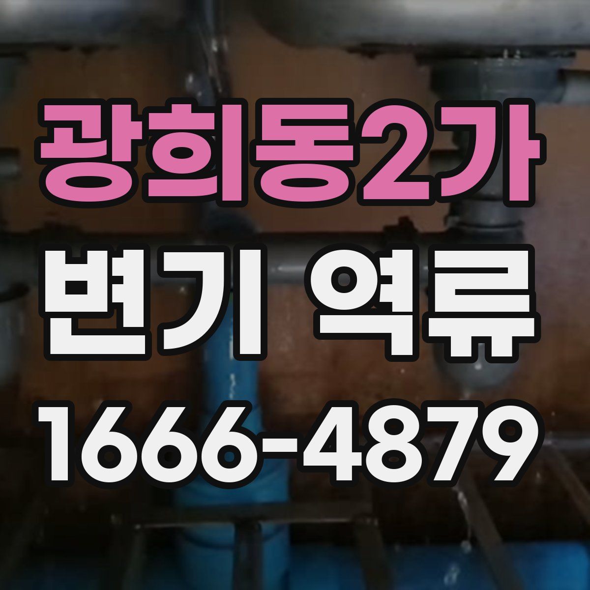 광희동2가 변기 역류