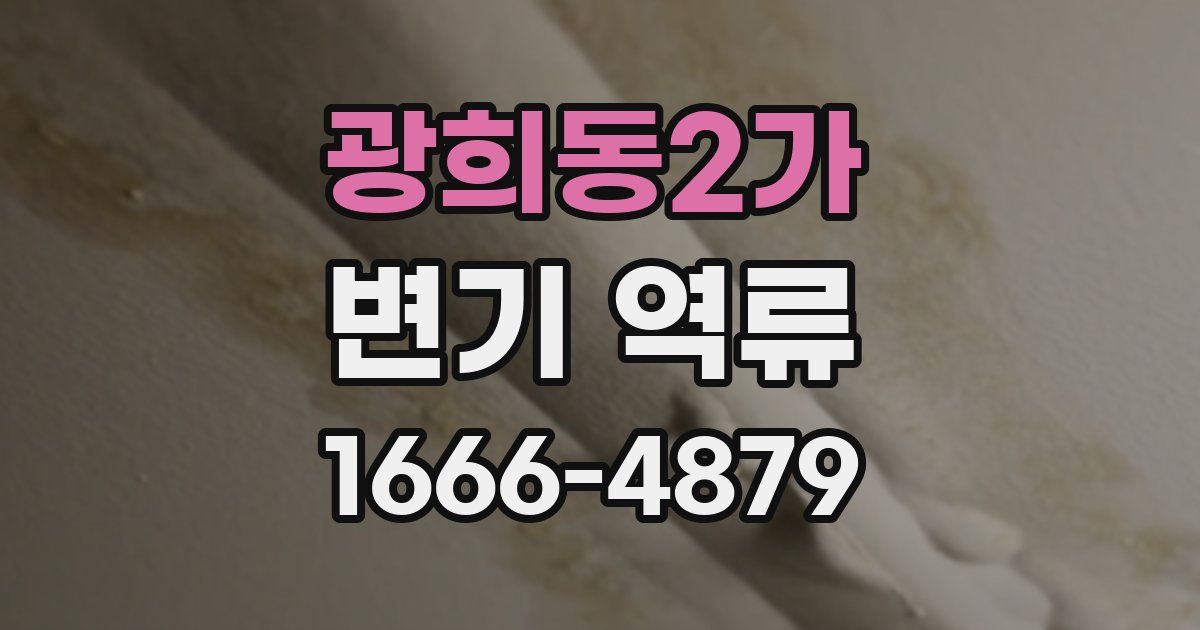 광희동2가 변기 역류
