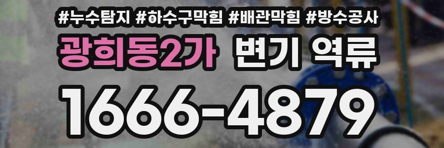 광희동2가 변기 역류