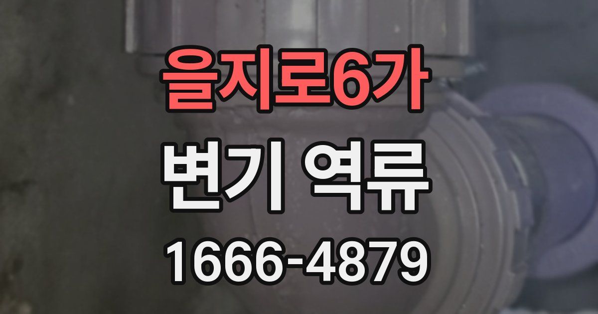 을지로6가 변기 역류