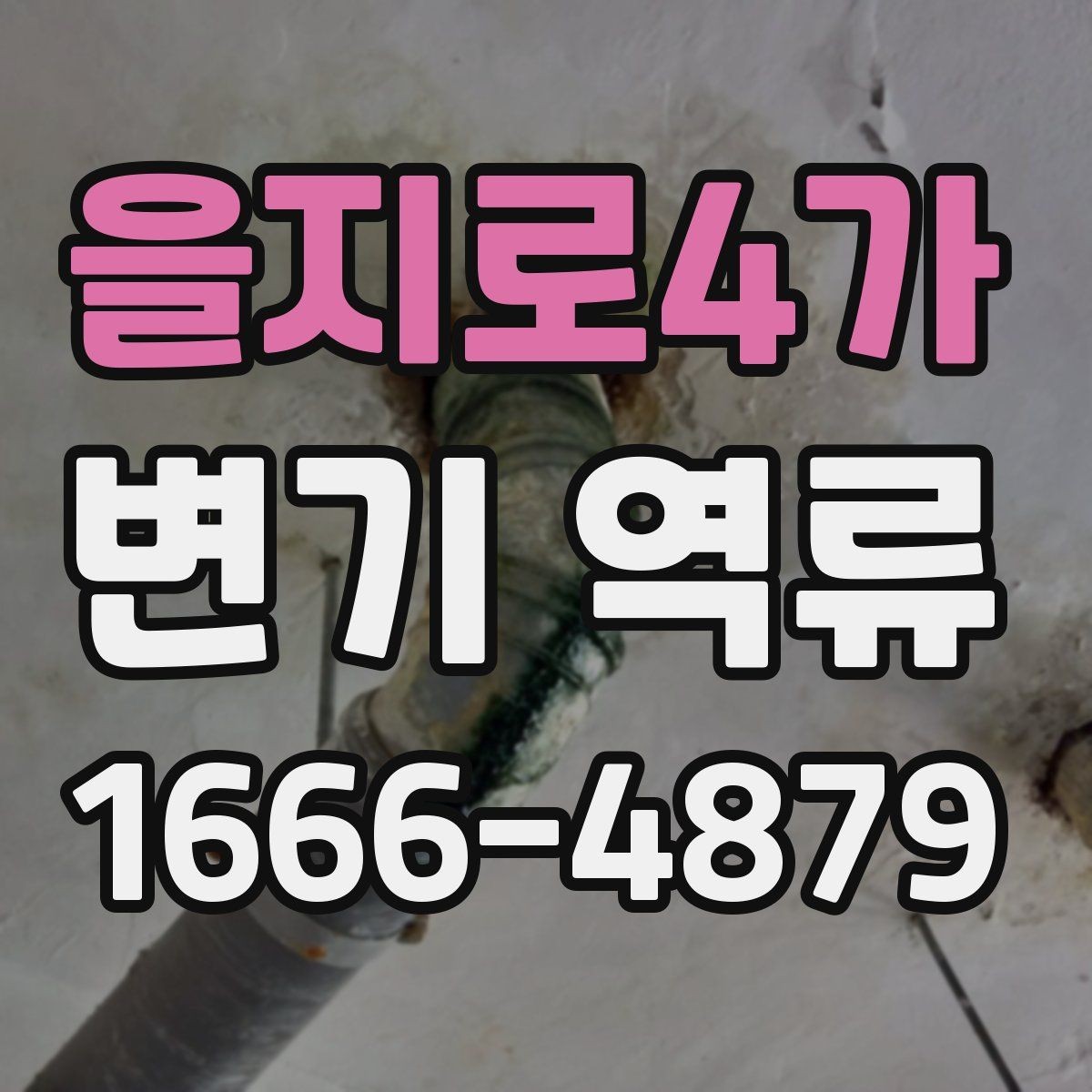 을지로4가 변기 역류 점검할 때 먼저 확인할 배수구