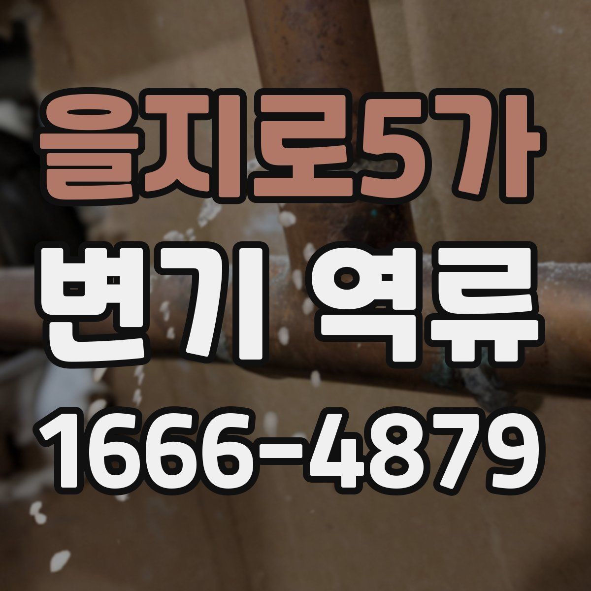 을지로5가 변기 역류 원인을 찾는 집안 점검 순서
