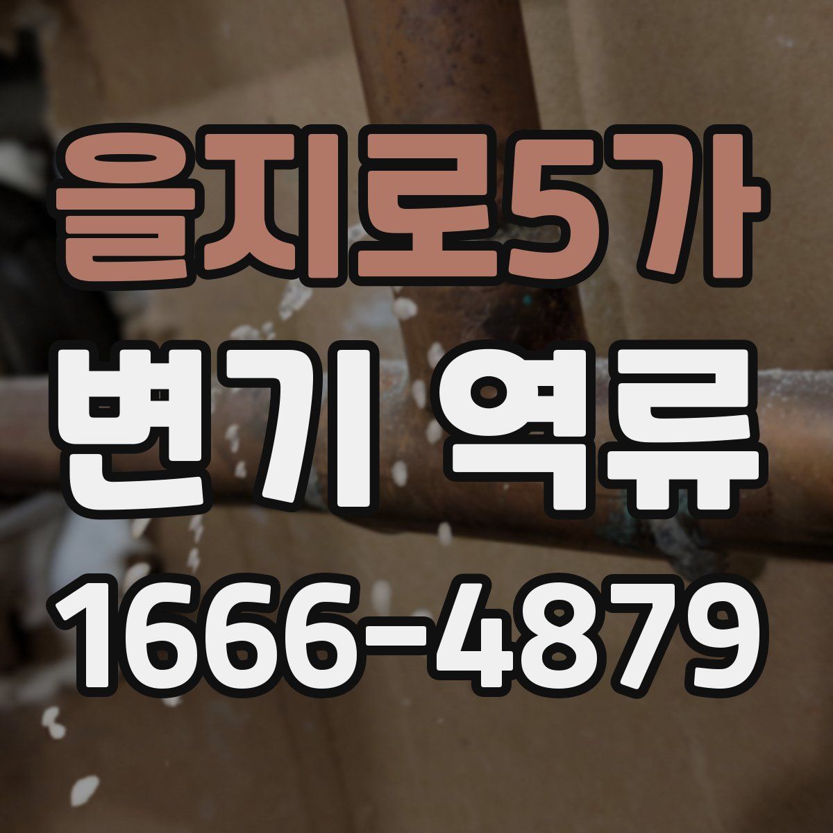 을지로5가 변기 역류