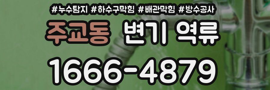 주교동 변기 역류