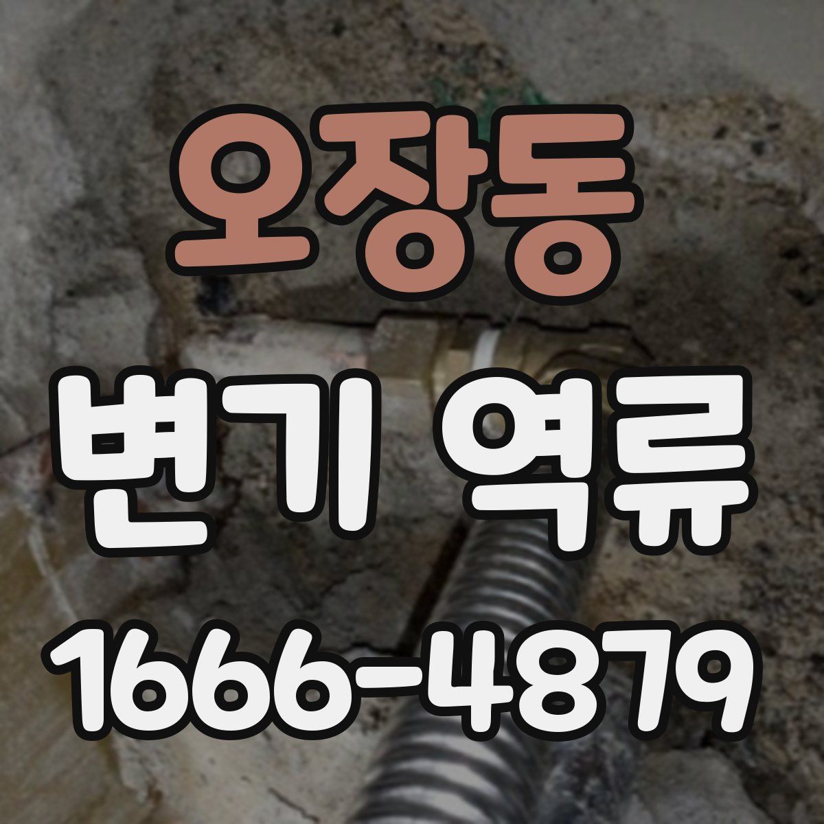 오장동 변기 역류