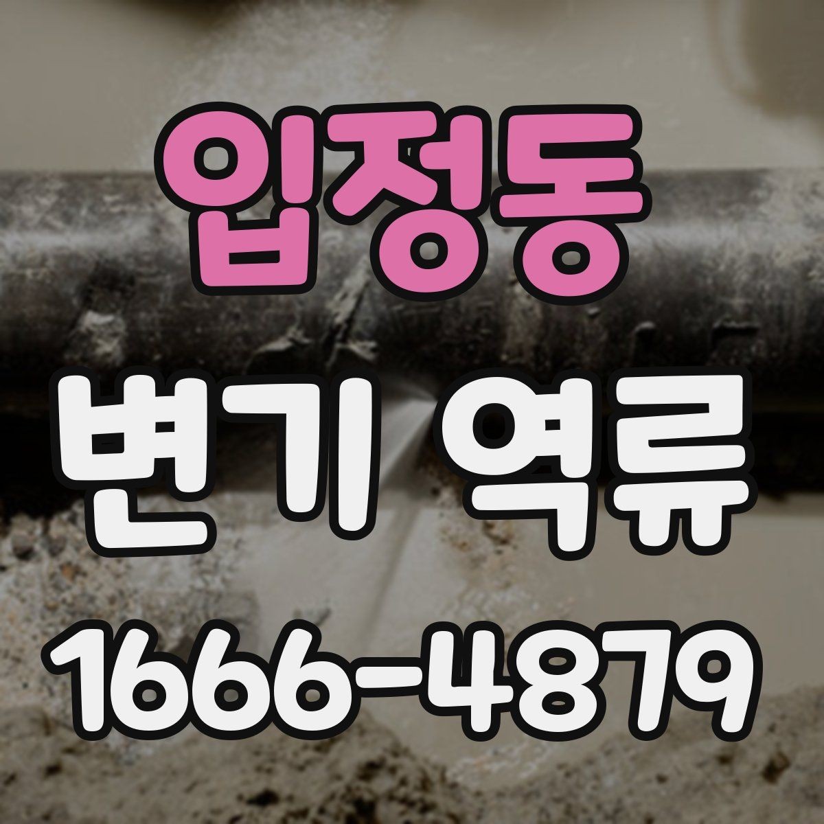 입정동 변기 역류 재발 방지를 위한 청소와 관리