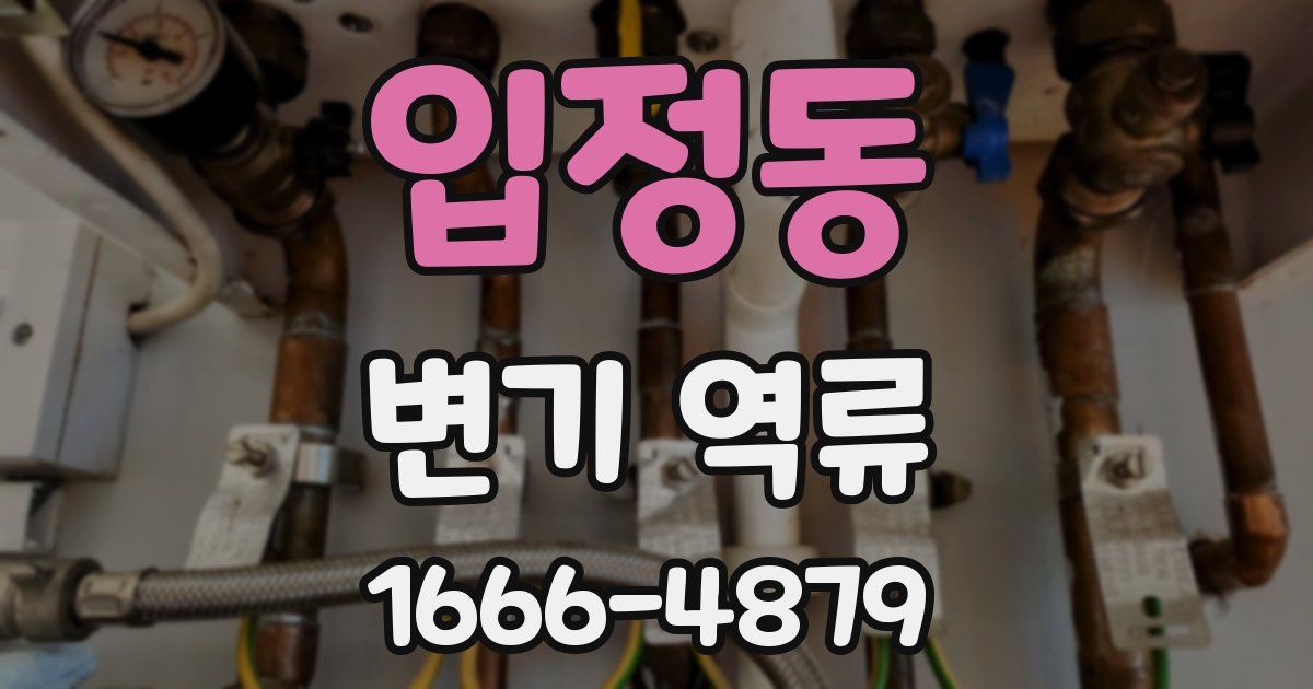 입정동 변기 역류