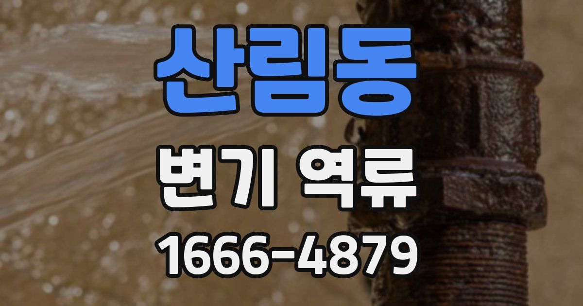 산림동 변기 역류