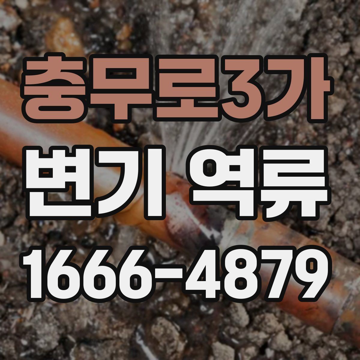 충무로3가 변기 역류 수리 전 사진으로 확인해두면 좋은 항목