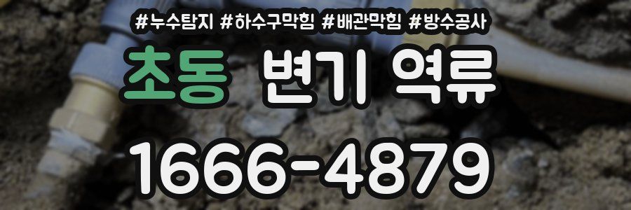 초동 변기 역류