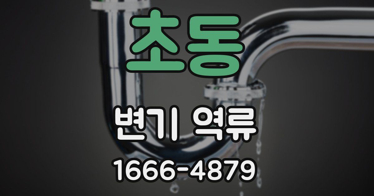 초동 변기 역류