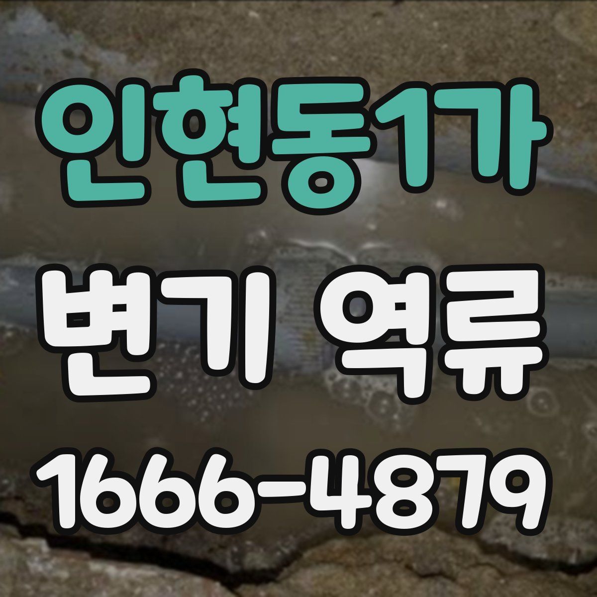 인현동1가 변기 역류