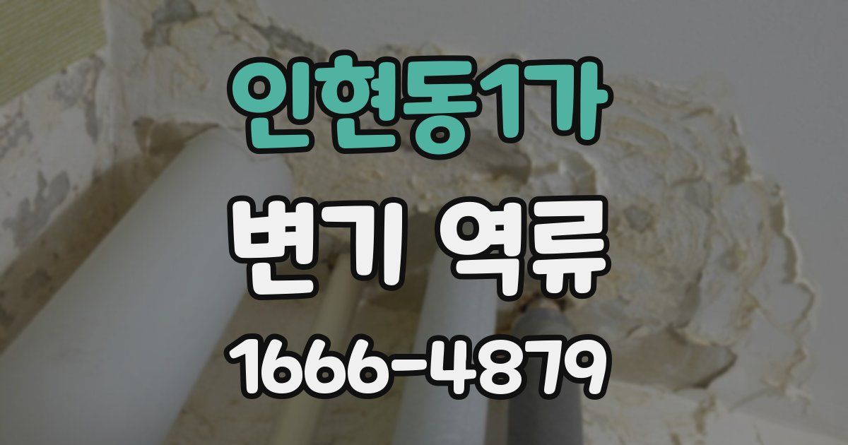 인현동1가 변기 역류