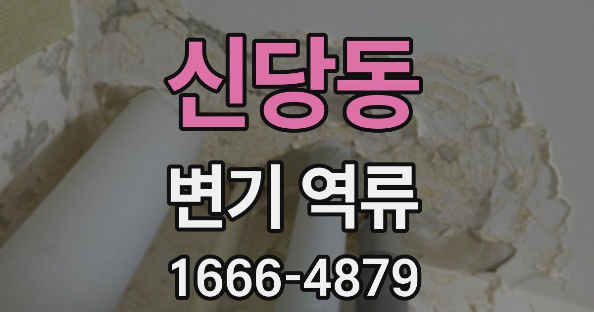 신당동 변기 역류