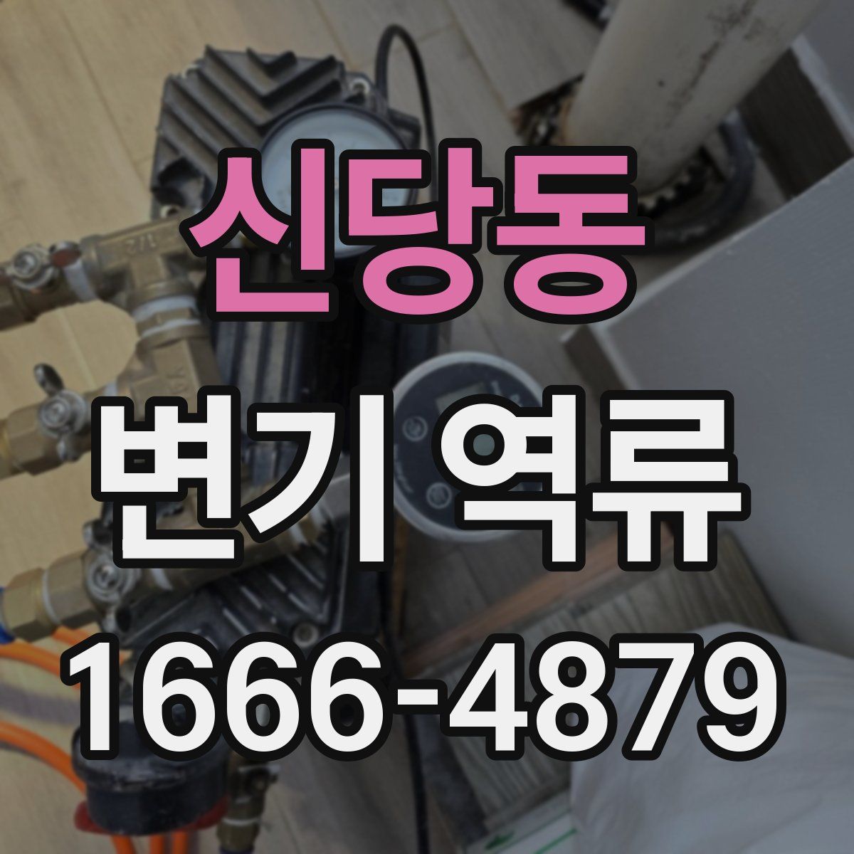 신당동 변기 역류