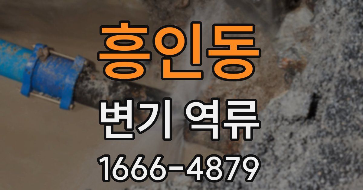 흥인동 변기 역류