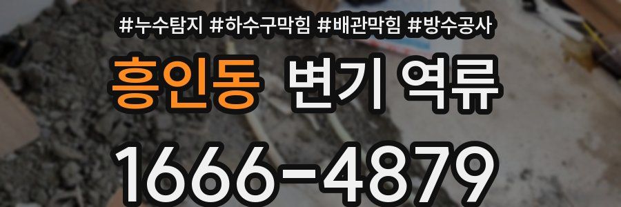 흥인동 변기 역류