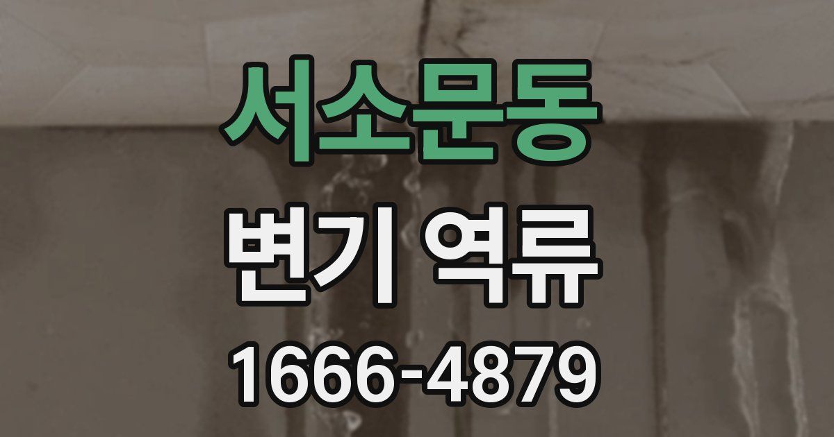 서소문동 변기 역류
