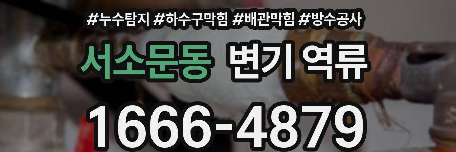 서소문동 변기 역류