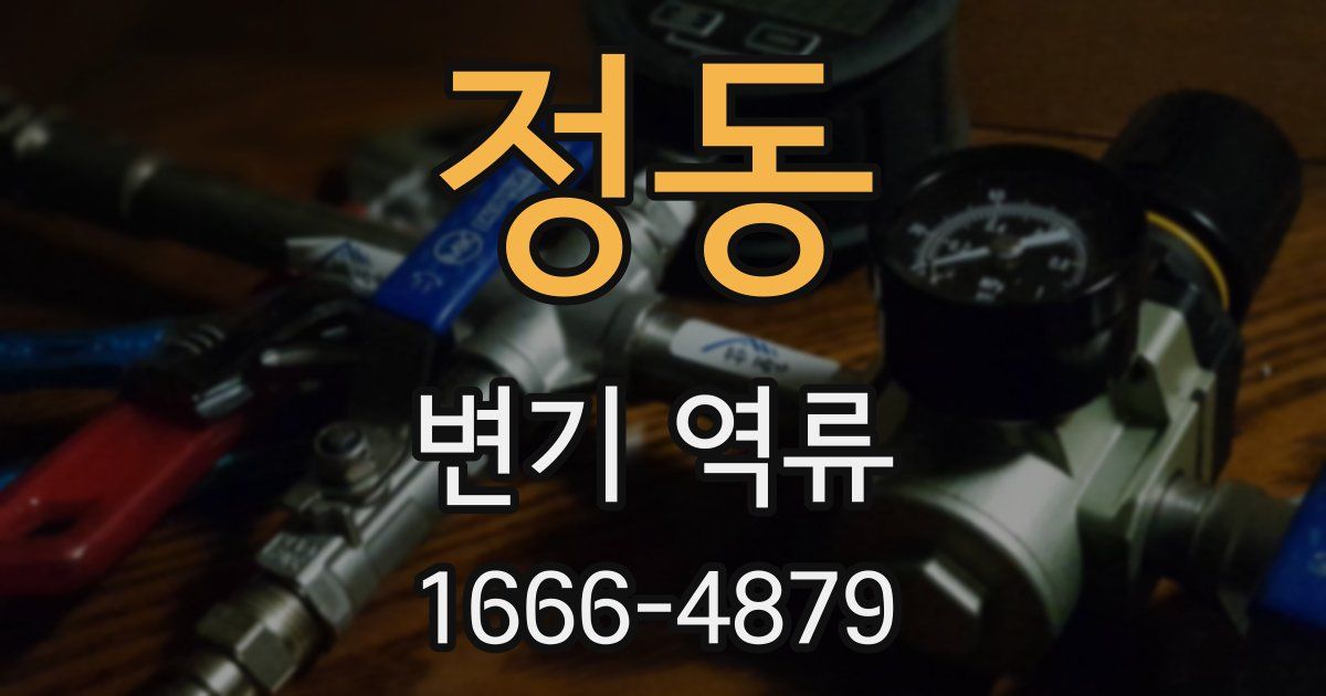 정동 변기 역류