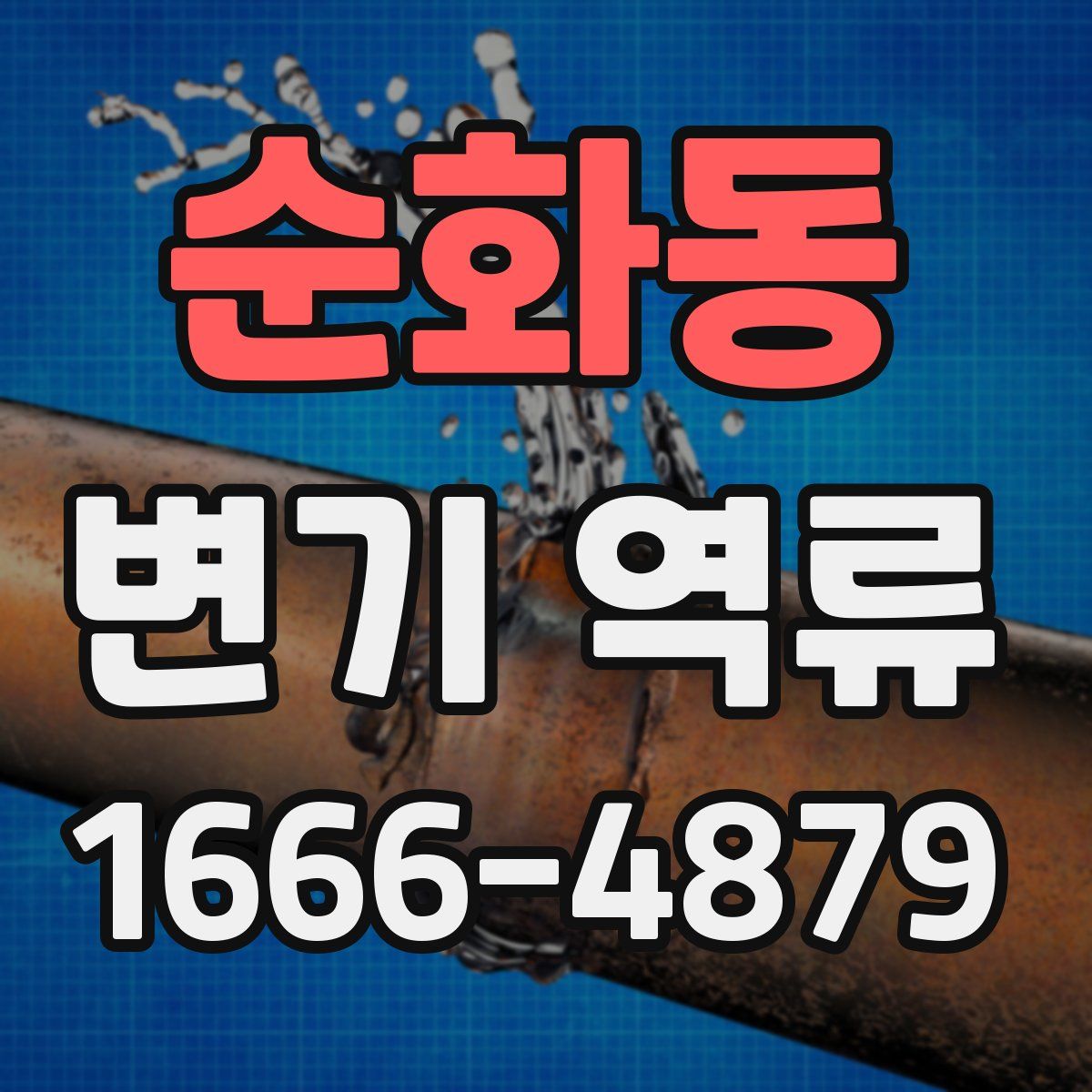 순화동 변기 역류