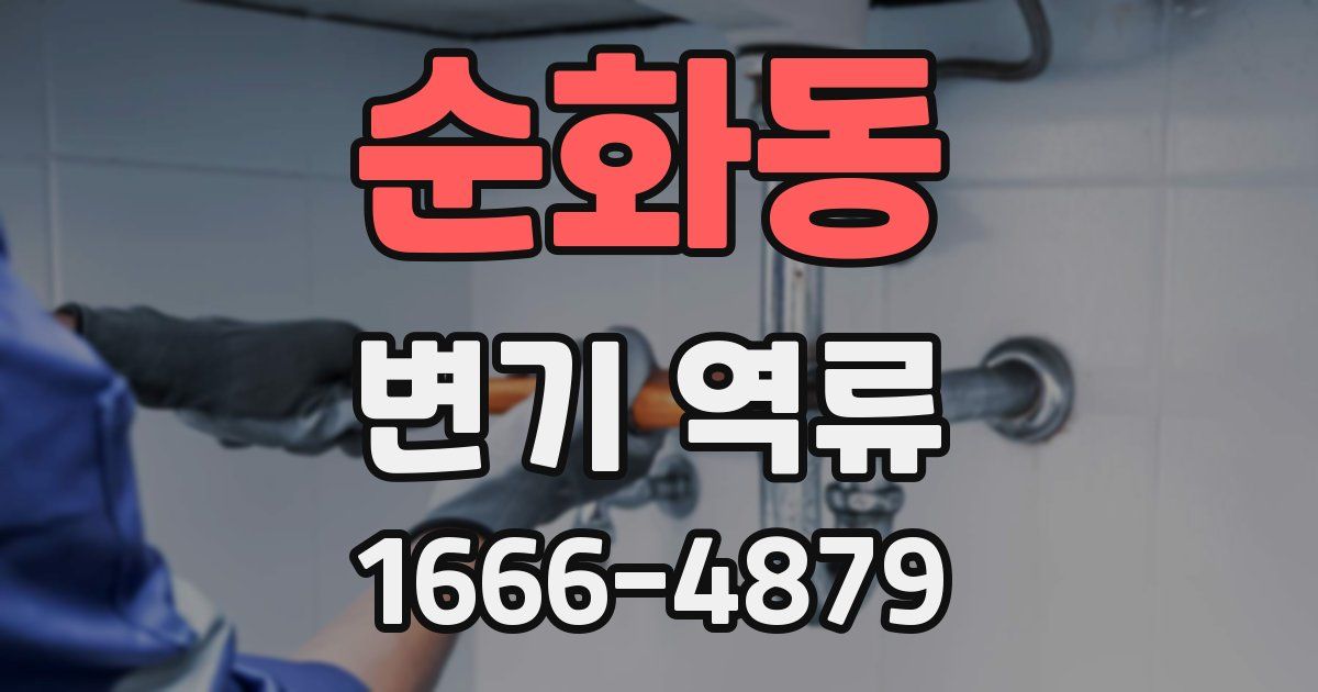 순화동 변기 역류