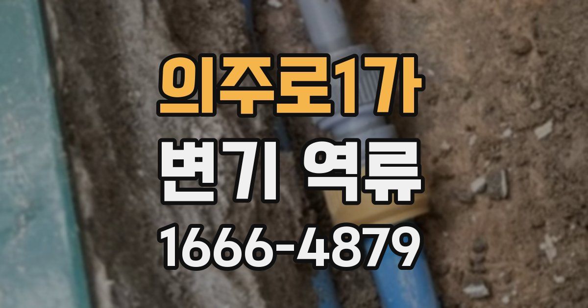 의주로1가 변기 역류