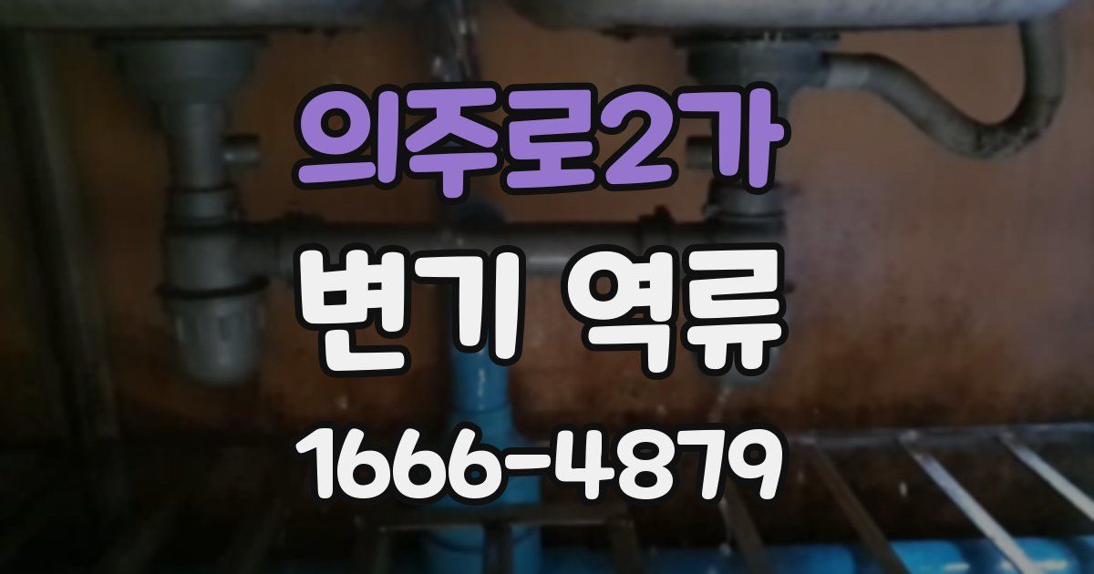 의주로2가 변기 역류