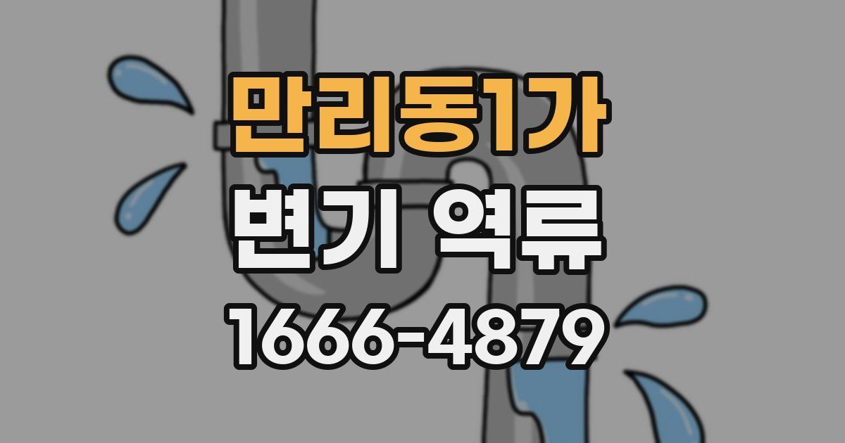 만리동1가 변기 역류