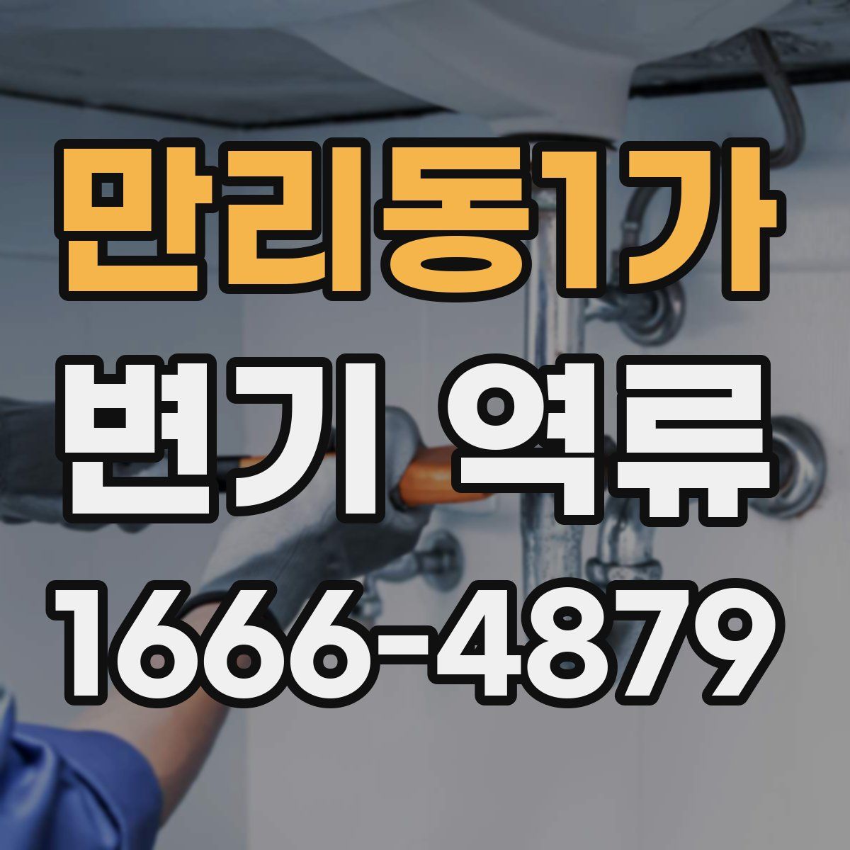 만리동1가 변기 역류