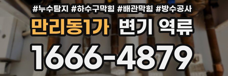 만리동1가 변기 역류