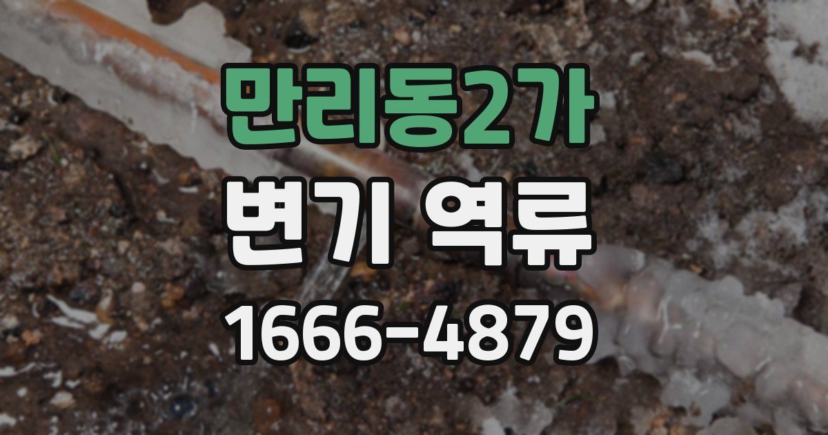 만리동2가 변기 역류
