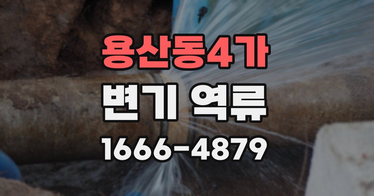 용산동4가 변기 역류
