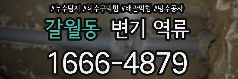 갈월동 변기 역류