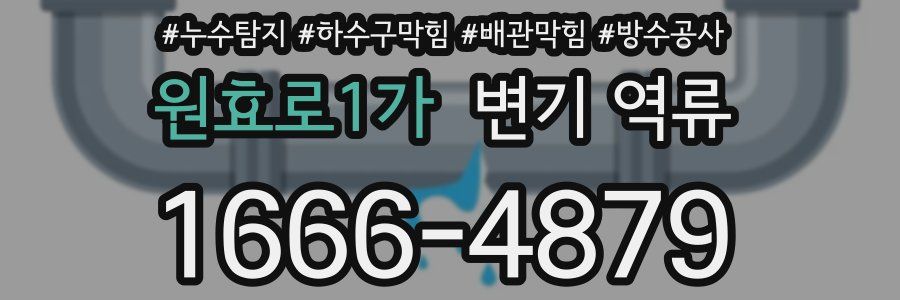 원효로1가 변기 역류