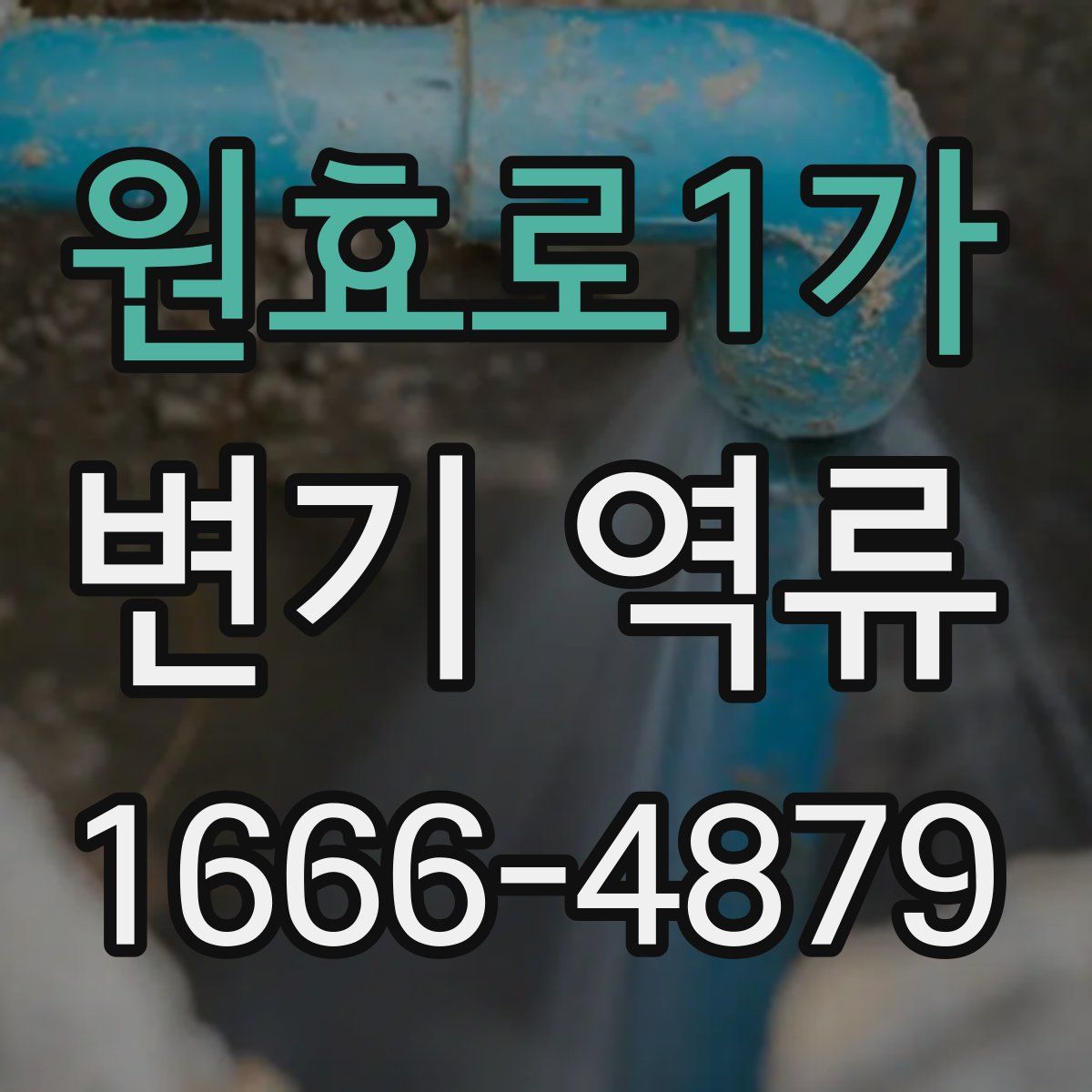 원효로1가 변기 역류