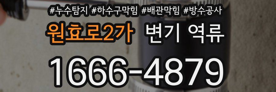 원효로2가 변기 역류