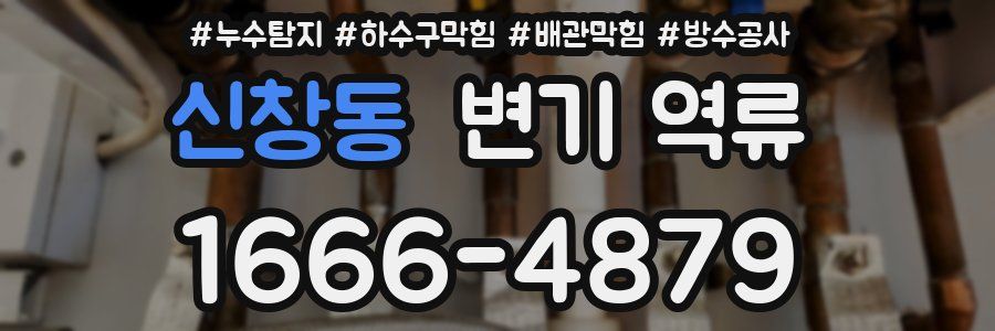 신창동 변기 역류