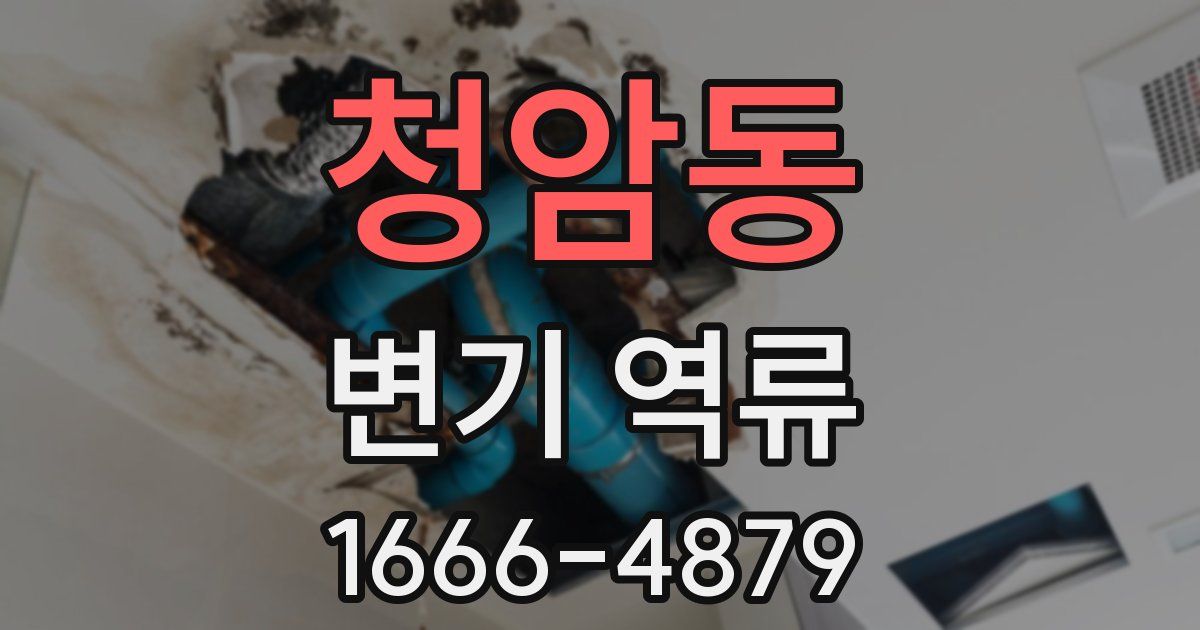 청암동 변기 역류