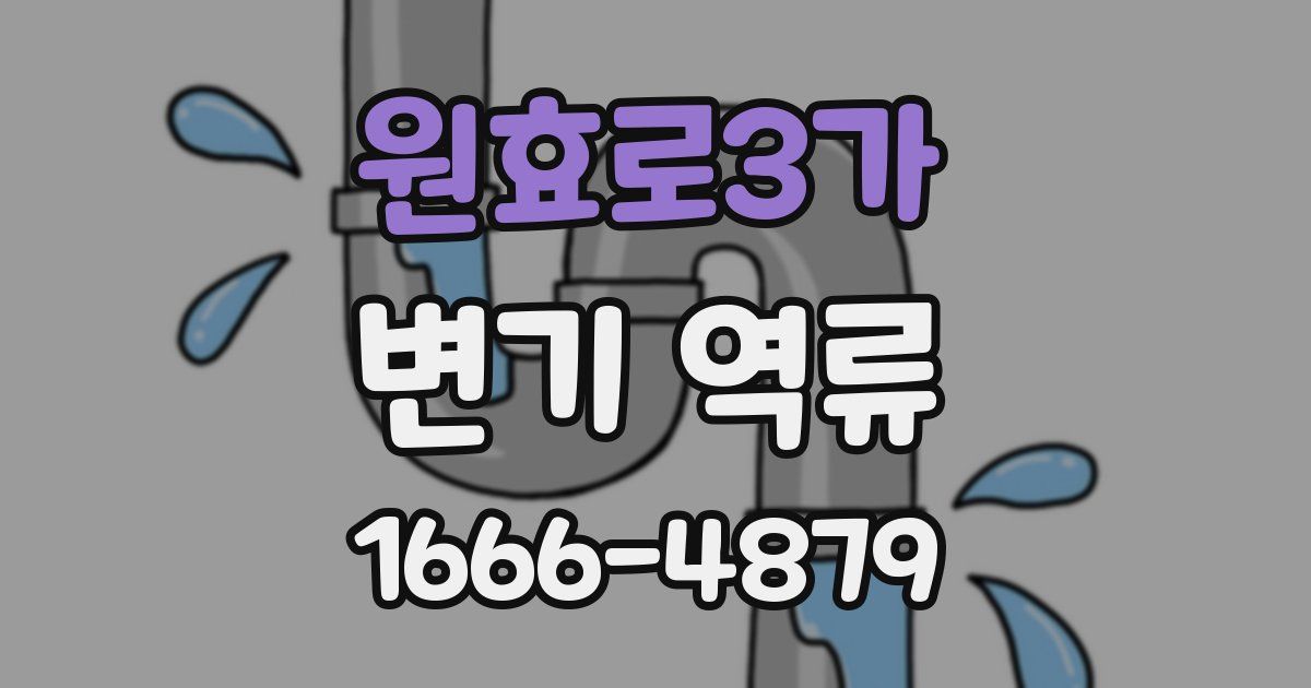 원효로3가 변기 역류