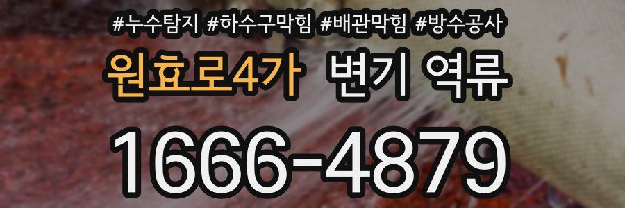 원효로4가 변기 역류