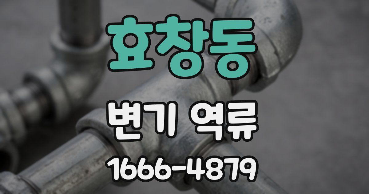 효창동 변기 역류