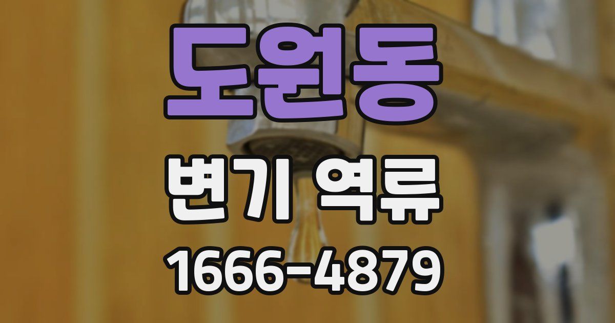 도원동 변기 역류
