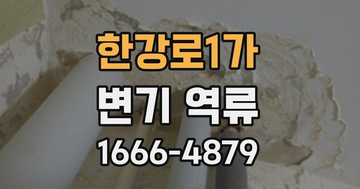한강로1가 변기 역류