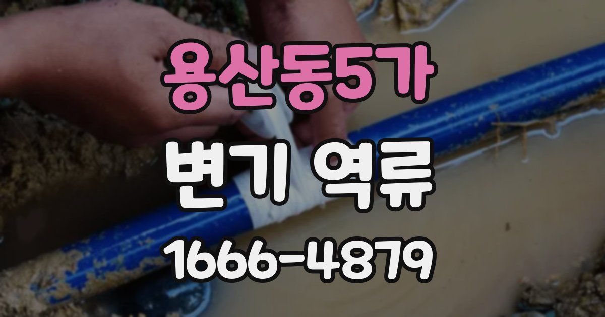 용산동5가 변기 역류