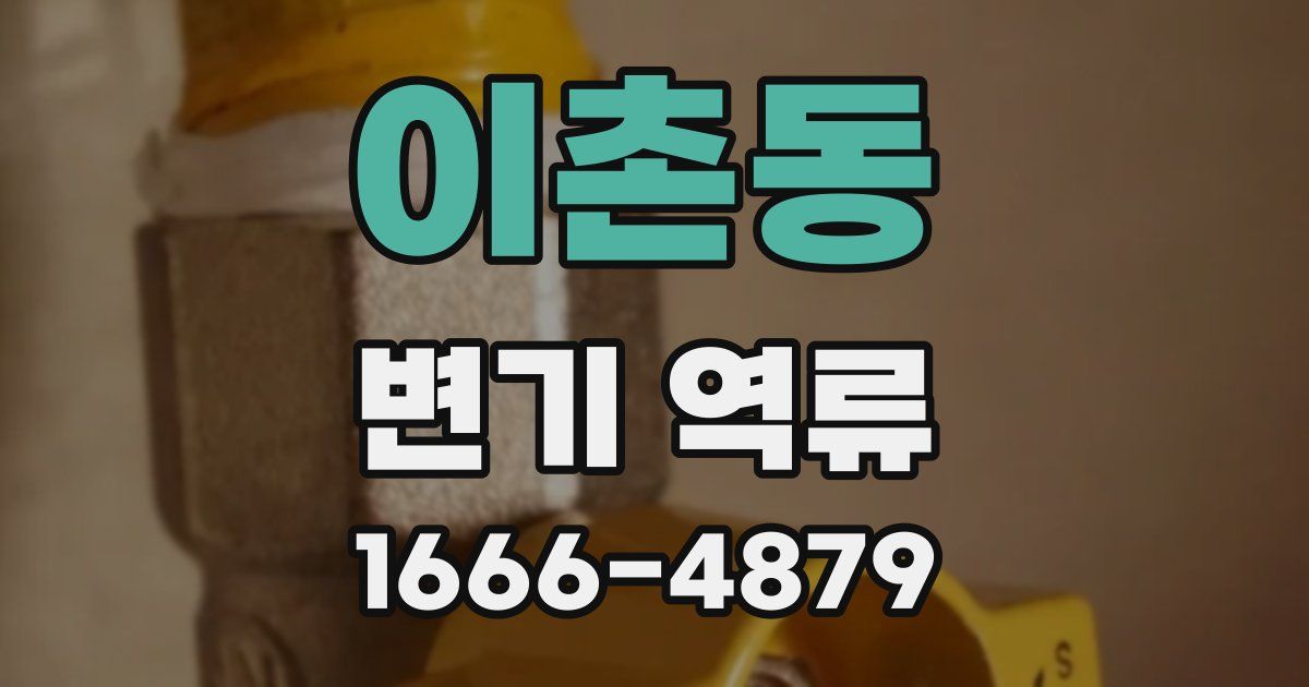 이촌동 변기 역류