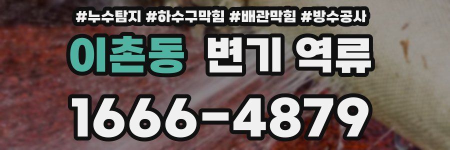 이촌동 변기 역류