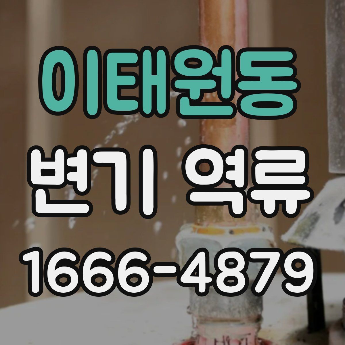 이태원동 변기 역류 문제를 예방하는 청결 관리