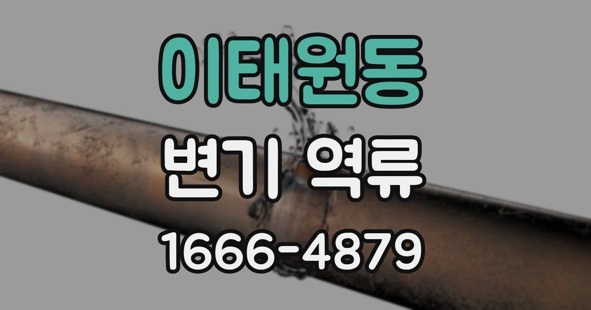 이태원동 변기 역류