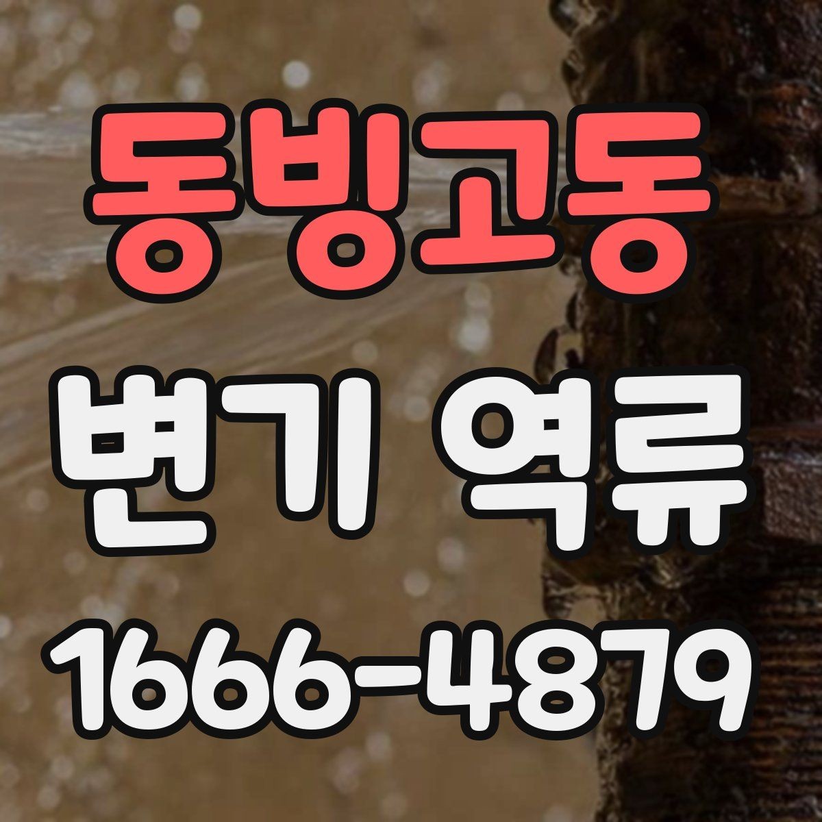 동빙고동 변기 역류 상황에서 전문가가 보는 부분